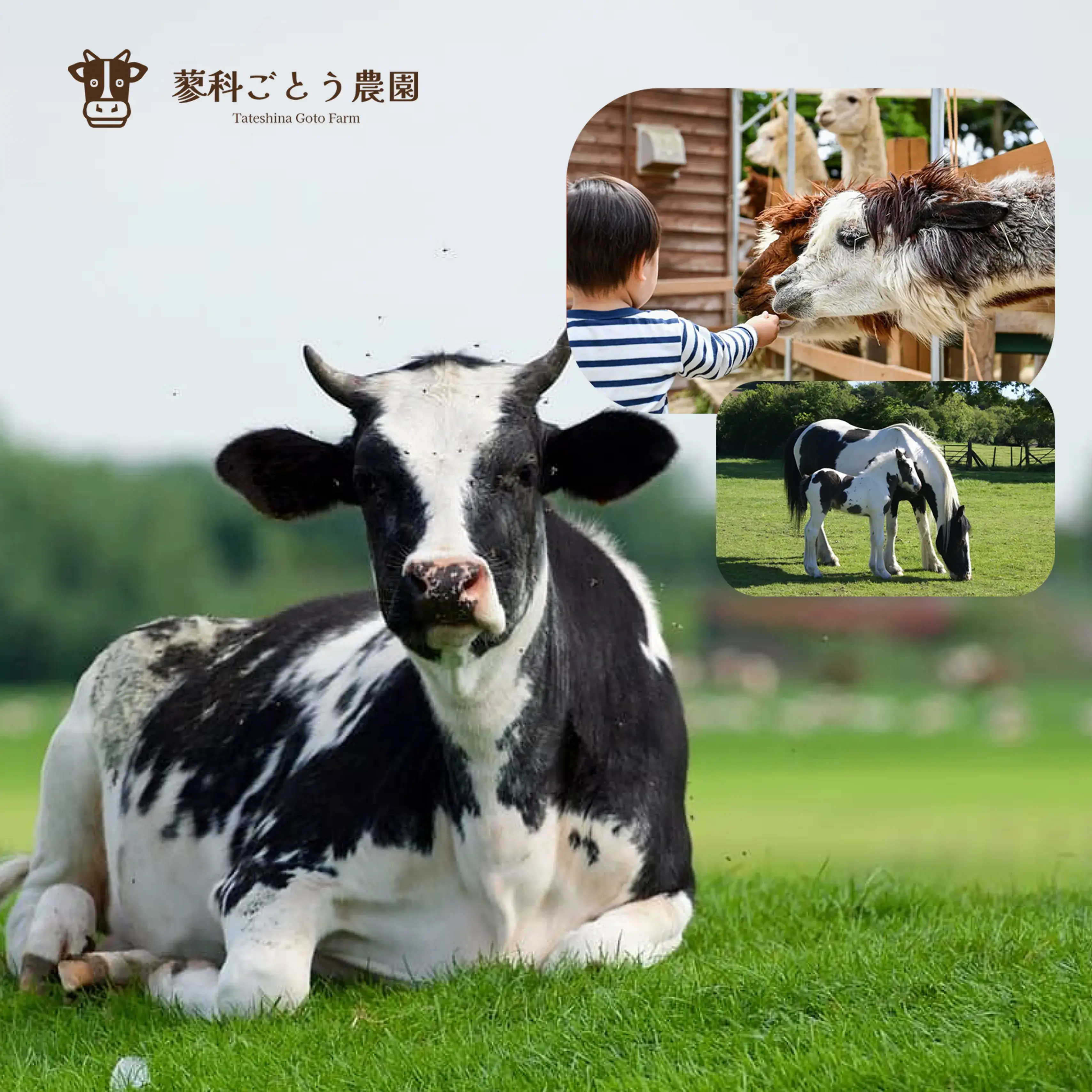 htmlコーダー説明画像3